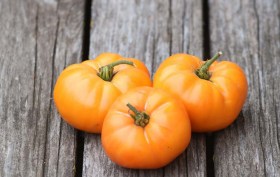 Oma's Orange paradicsom